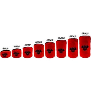 CERBERUS Strength Dual Ply Sandbag
