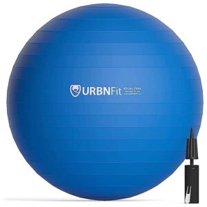 URBNFIT Exercise Ball