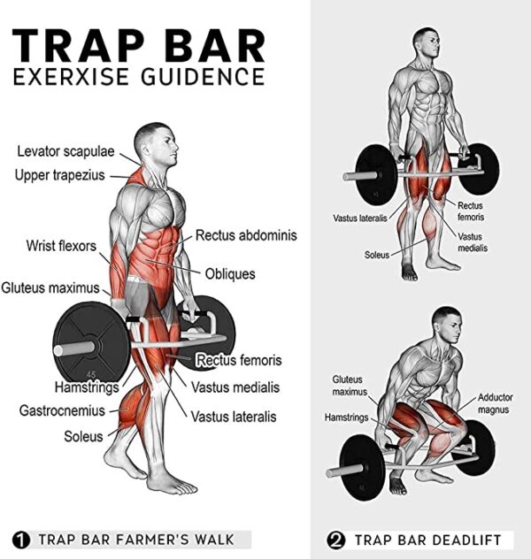 Dripex Olympic Hex Bar - Image 2