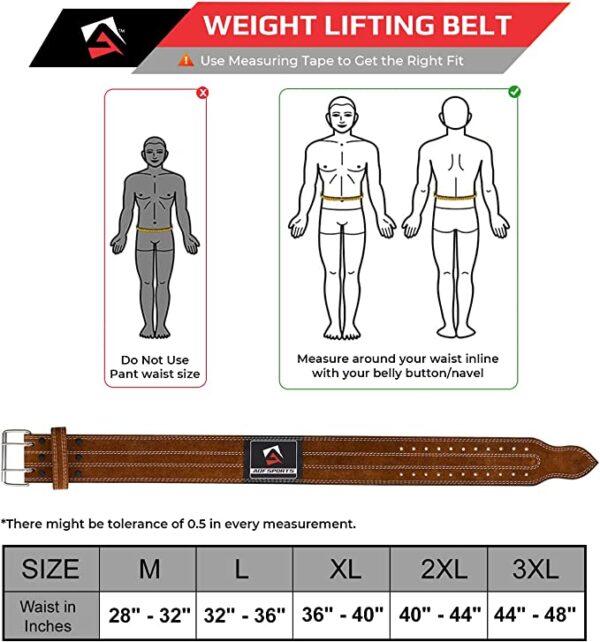 AQF Power Lifting Belt - Image 4