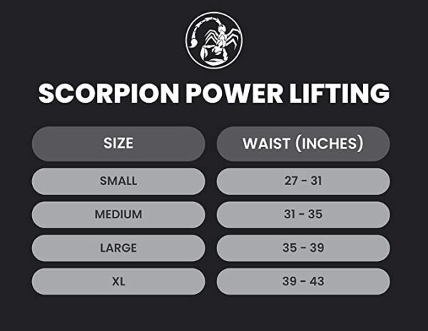 Scorpion Power Lifting Belt - Image 3