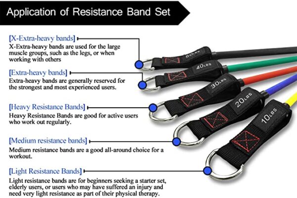 TheFitLife Resistance Bands (Handles) - Image 3