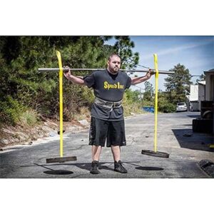 Spud, Inc. Swing Set Straps