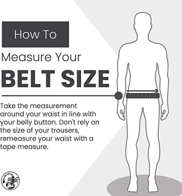 Scorpion Power Lifting Belt - Image 4