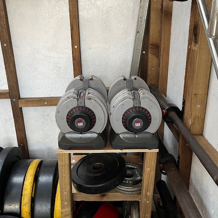 The Most Cost Effective Adjustable Dumbbell of 2025.
