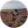Tim